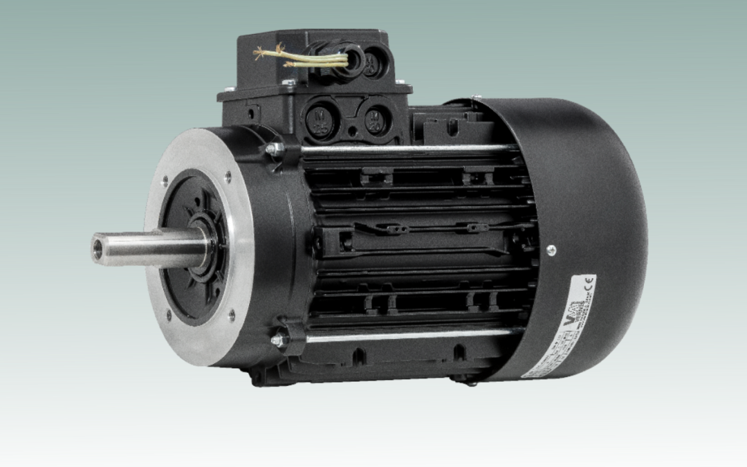 Three-phase Motors