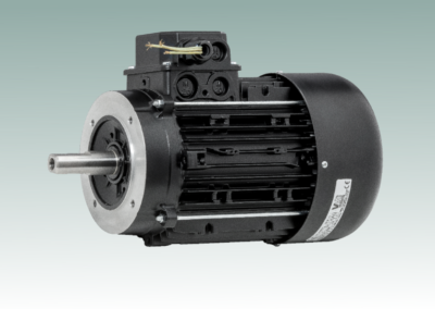 Three-phase Motors