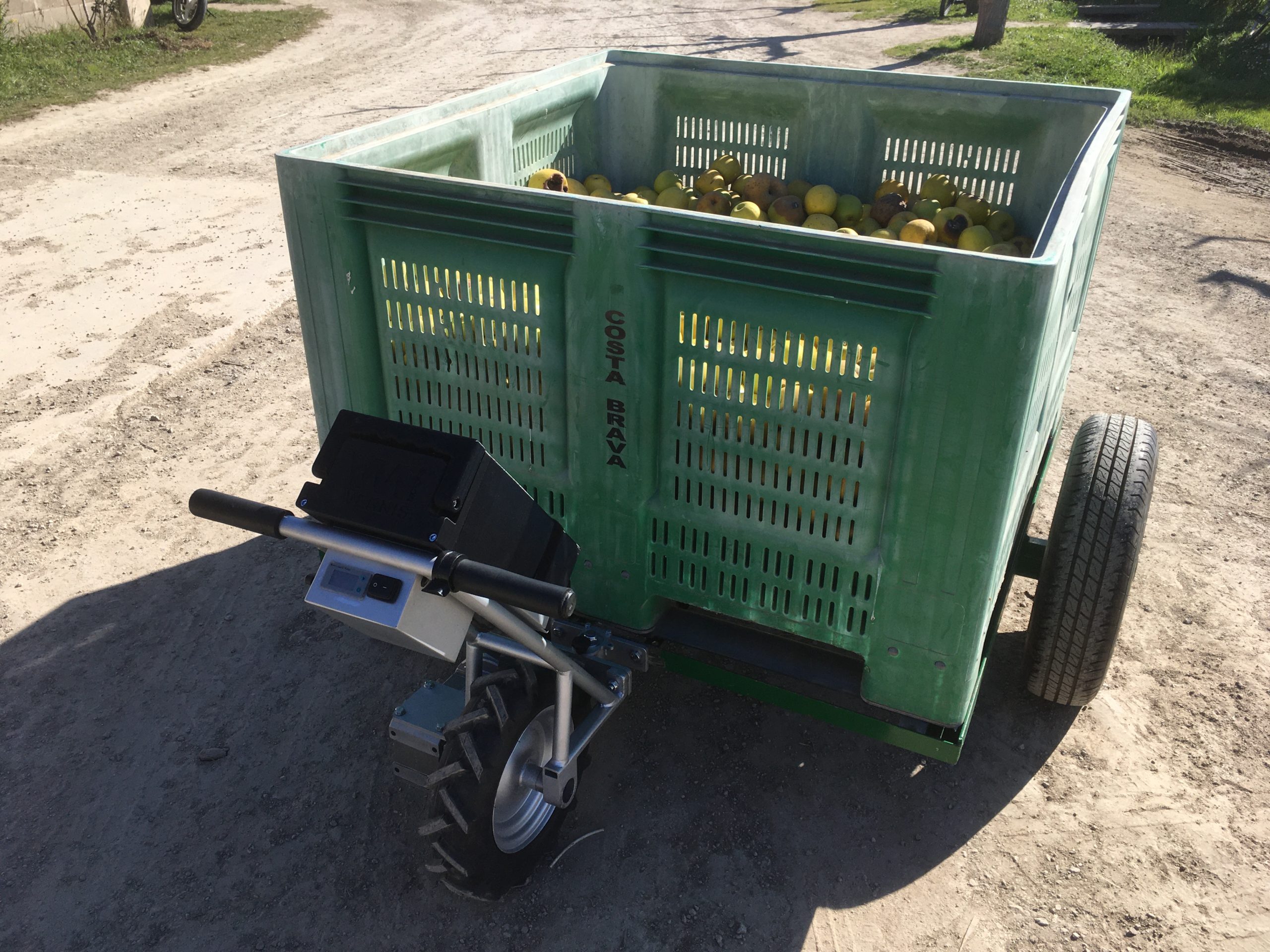 CARRO FRUTA